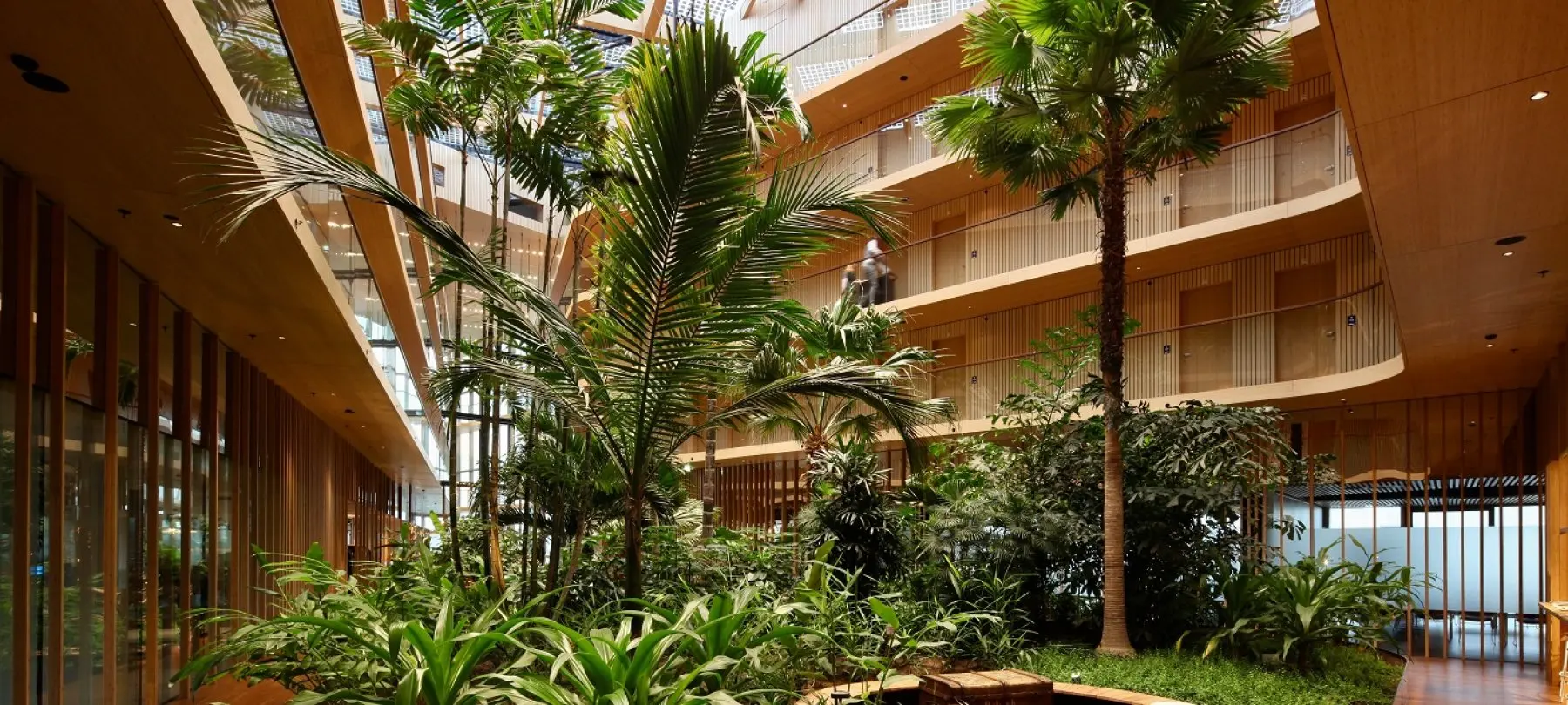 Palmen en tropische planten in een houten atrium met balkons