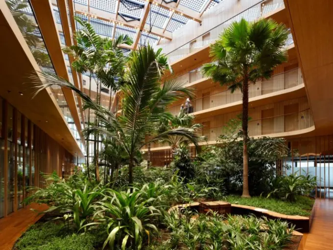 Subtropische binnentuin met palmen in een atrium met houten galerijen