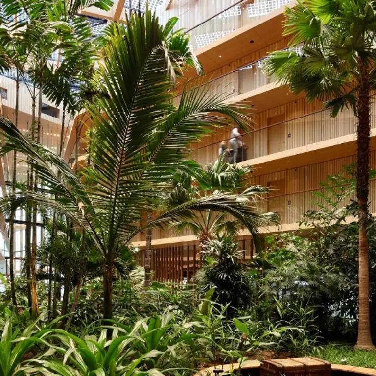 Palmen en tropische planten in een houten atrium met balkons