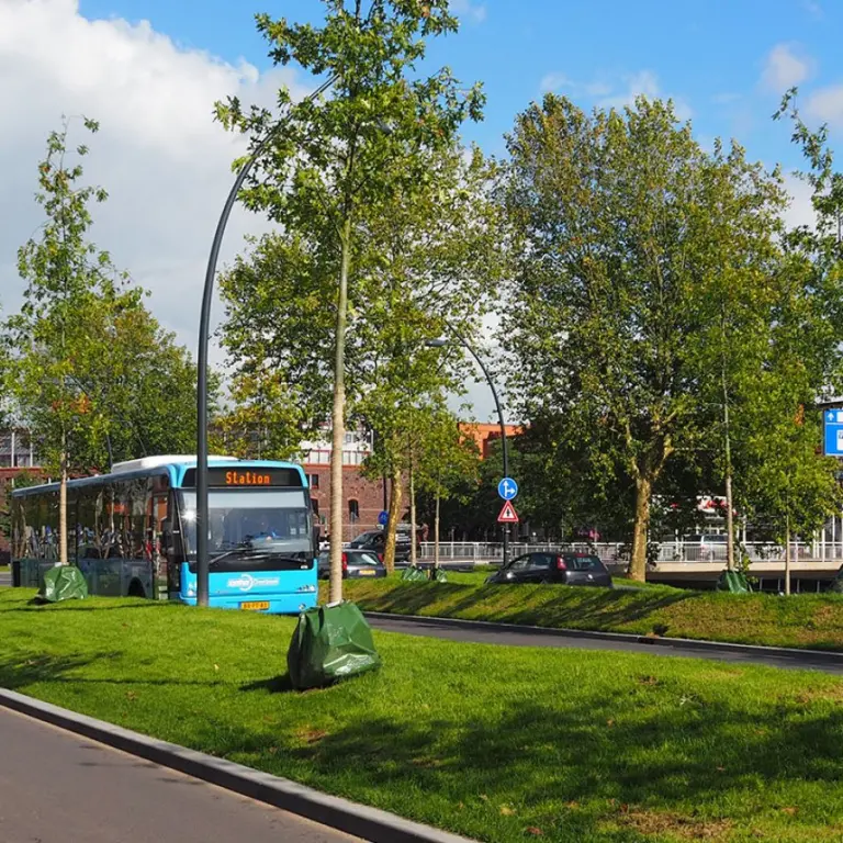 Pas geplante bomen in een grasberm langs een weg met een stadsbus