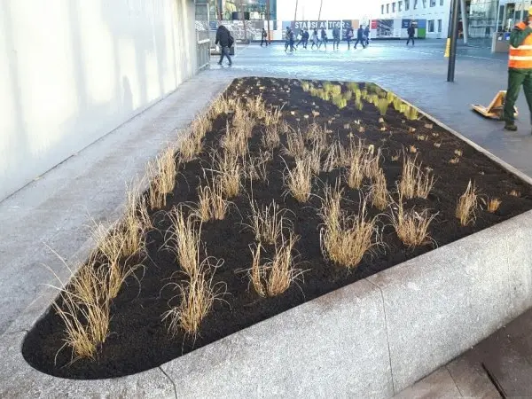 Driehoekig plantvak met zwarte grond en verdorde graspollen op een stationsplein