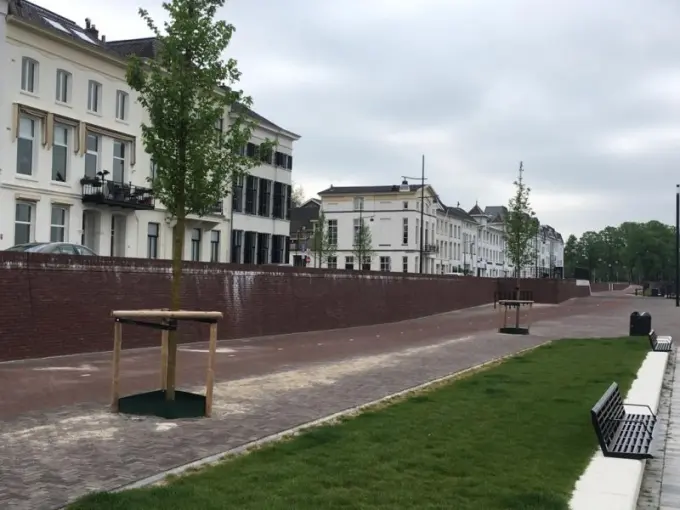 Aangeplante boom voor een bakstenen keermuur met historische gevels erachter