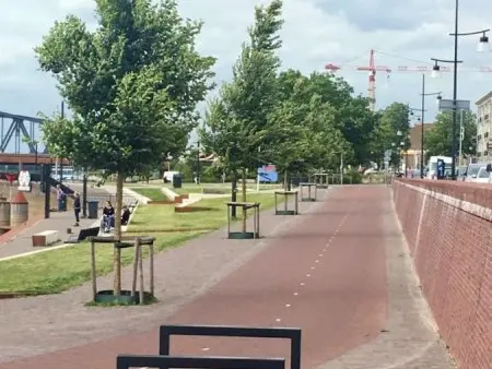 Fietspad op de kade met jonge bomen en zwarte fietsenrekken