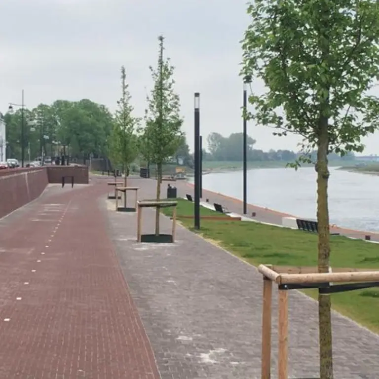 Pas geplante bomen met boompalen op een kade langs een rivier