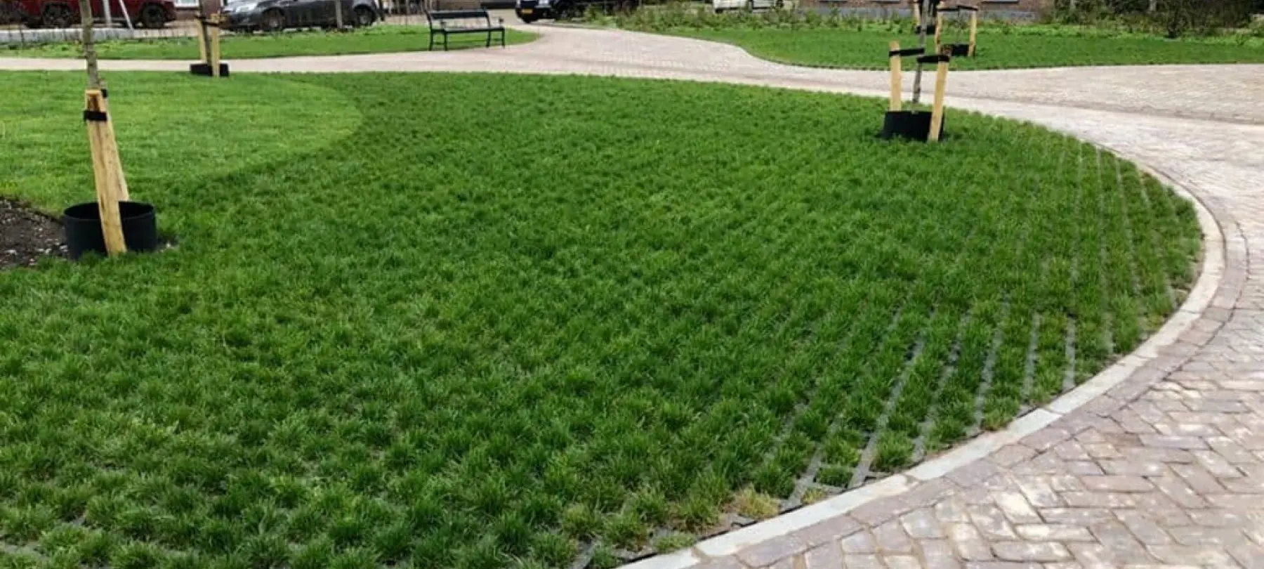 Grasklinkers met jong gras in een bocht naast een bestraat pad