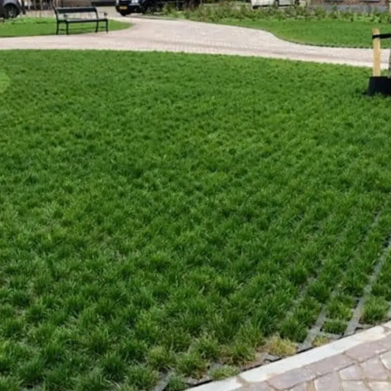 Grasklinkers met jong gras in een bocht naast een bestraat pad