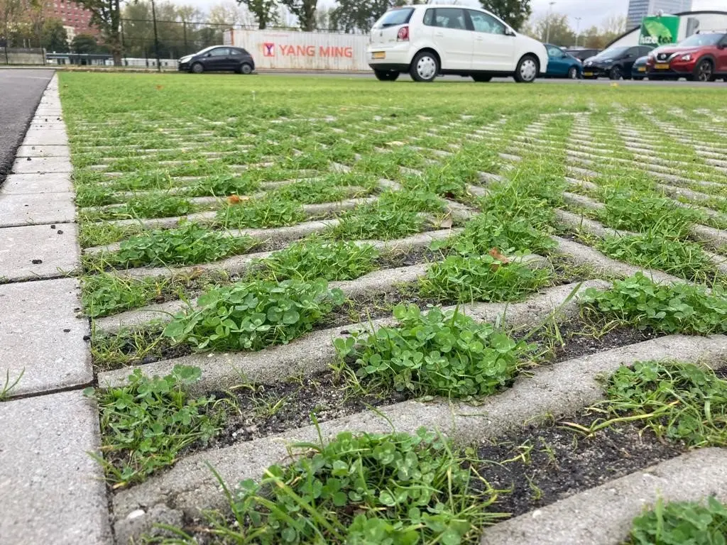 Auto's op een groene parkeerstrook bij sportvelden onder een blauwe lucht