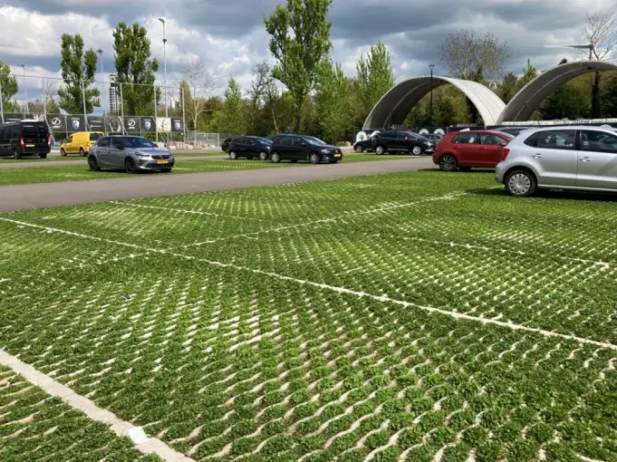 Groen begroeide parkeervakken met witte belijning en geparkeerde auto's