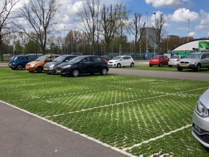 Rij geparkeerde auto's langs een grasparkeerveld met asfaltpad ernaast