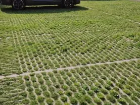 Groen grasparkeerveld met auto's voor een booghal met kleurrijke beschildering