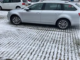 Geparkeerde auto op een met sneeuw bedekt grasparkeervak tussen kale bomen