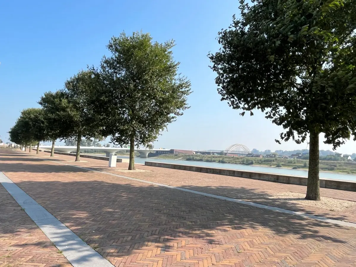 Bomen op een geplaveide kade met een boogbrug over de rivier