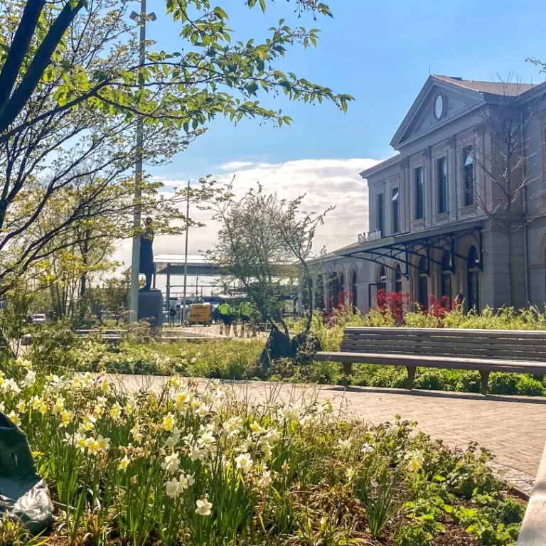 Voorjaarsborder met narcissen en een bank voor het station van Zwolle