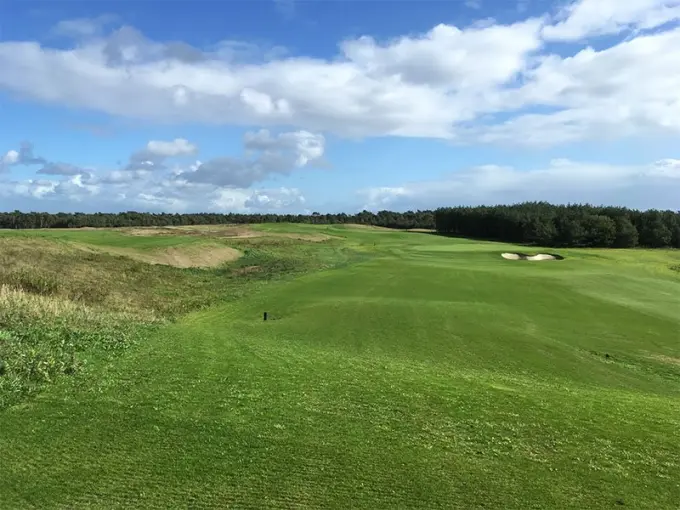 Groene golffairway met een witte bunker en bosrand op de achtergrond