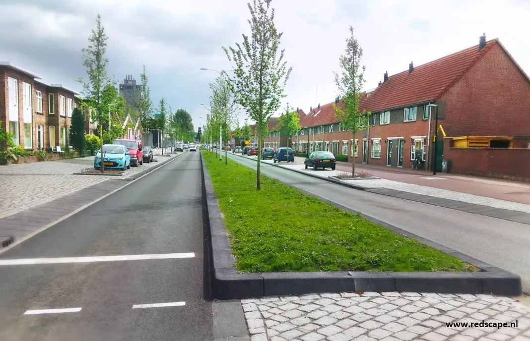 Grasstrook met jonge bomen tussen twee rijbanen in een woonstraat