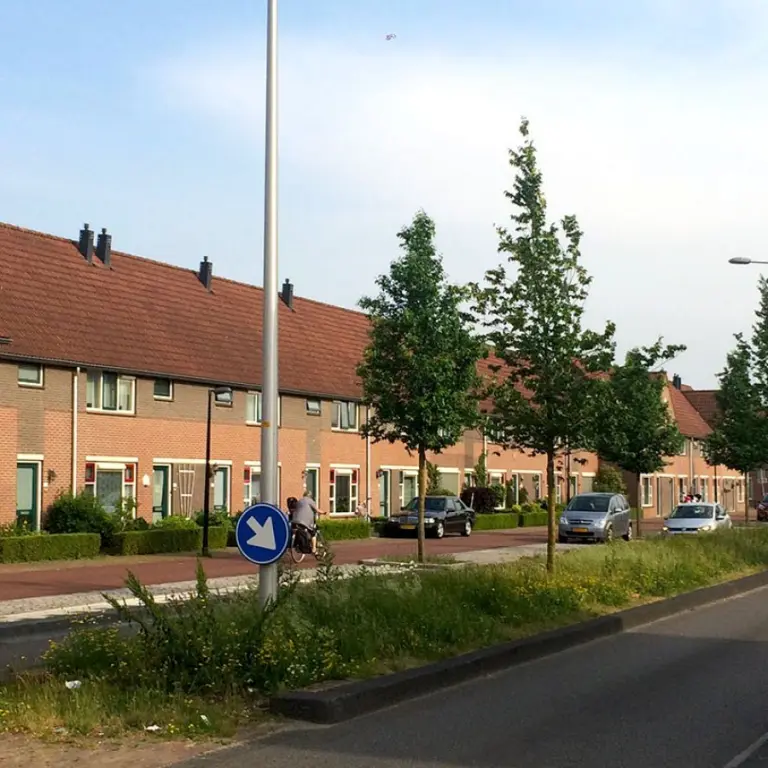 Woonstraat met rijtjeshuizen en jonge bomen op een grazige middenberm