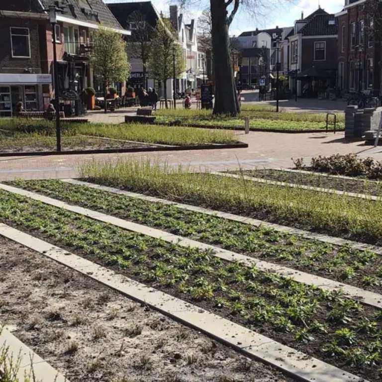 Nieuw plein met stroken jonge beplanting tussen betonnen randen