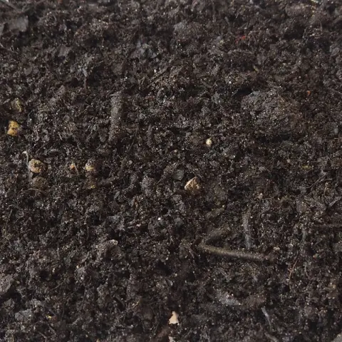 Donkere kruimelige bladcompost met takjes van dichtbij