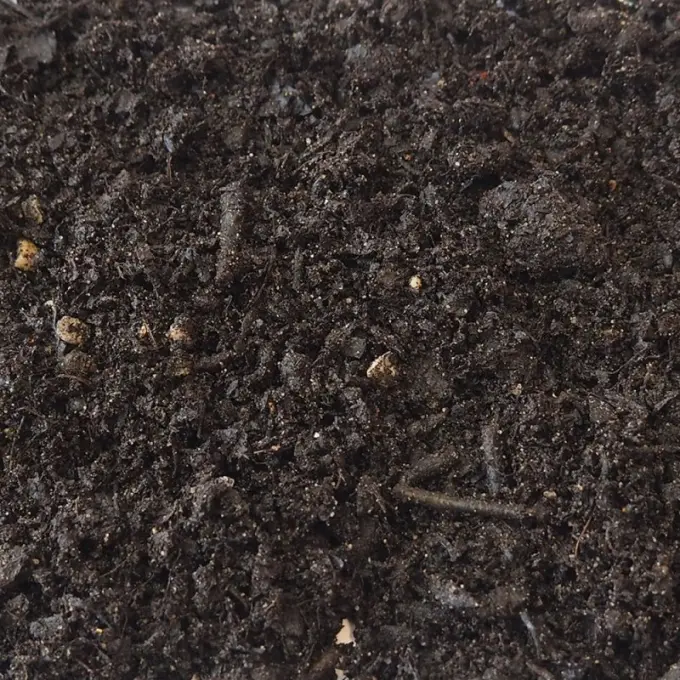 Donkere kruimelige bladcompost met takjes van dichtbij