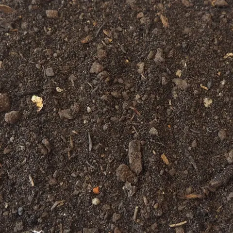 Donkerbruine fijne grond met steentjes en houtsnippers van dichtbij