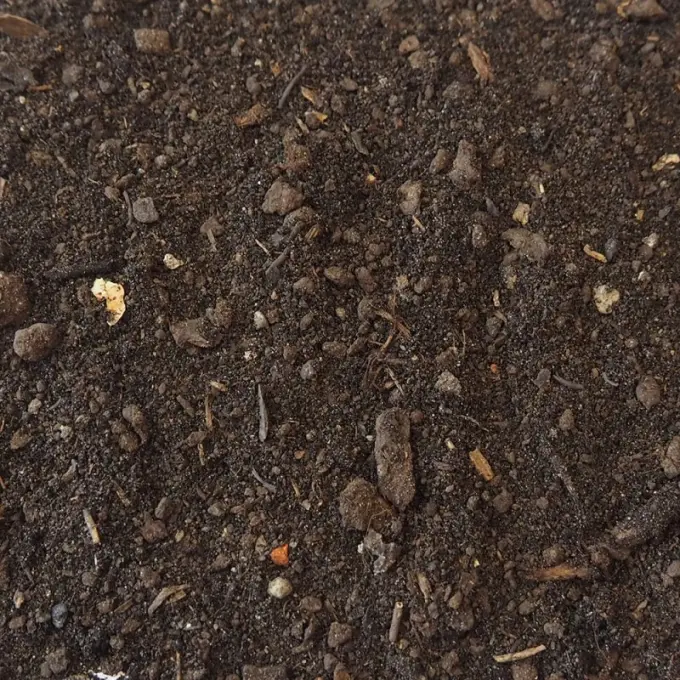Donkerbruine fijne grond met steentjes en houtsnippers van dichtbij