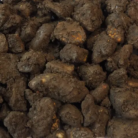 Kluiten steen omhuld met donkerbruine klei, van dichtbij