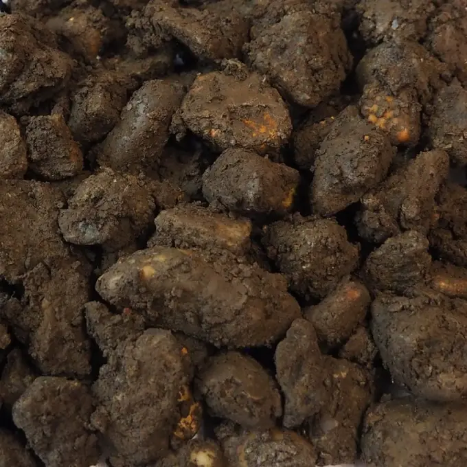 Kluiten steen omhuld met donkerbruine klei, van dichtbij